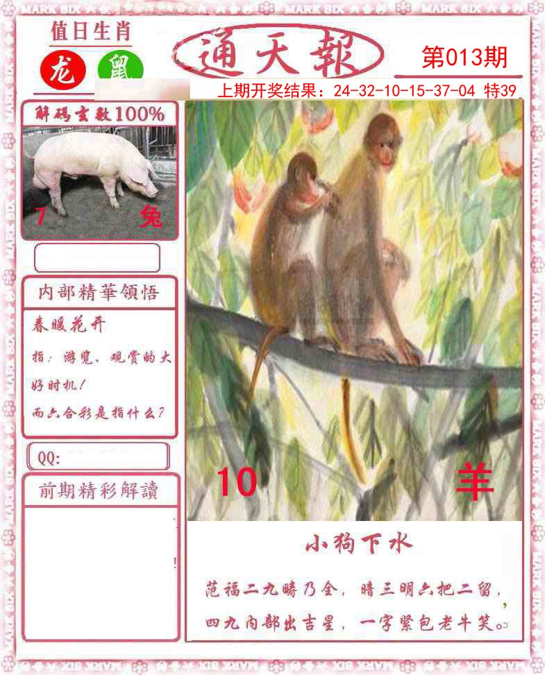 013期正版通天报[图]