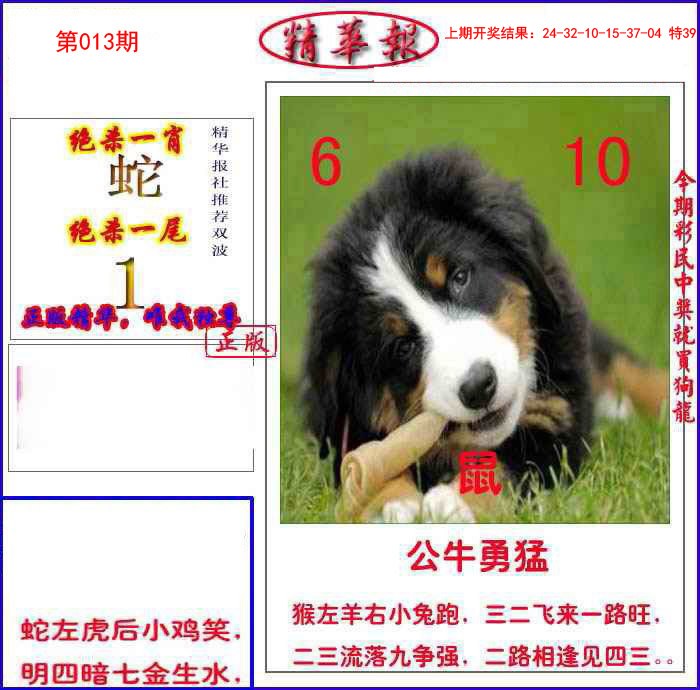 013期新精华报报[图]