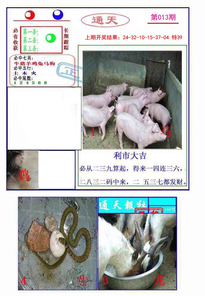 013期通天杀波图2[图]