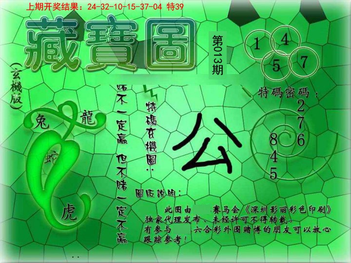 013期九龍玄机报[图]