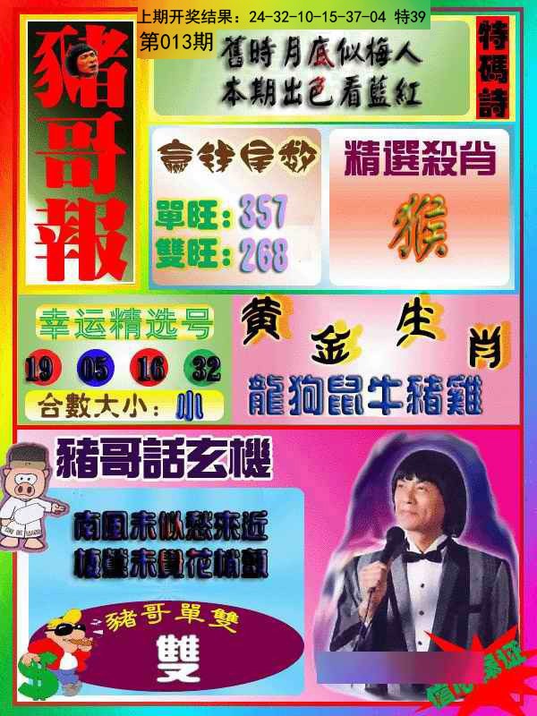 013期猪哥报[图]