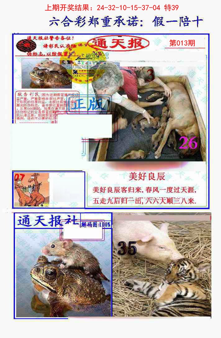 013期假一陪十通天报[图]