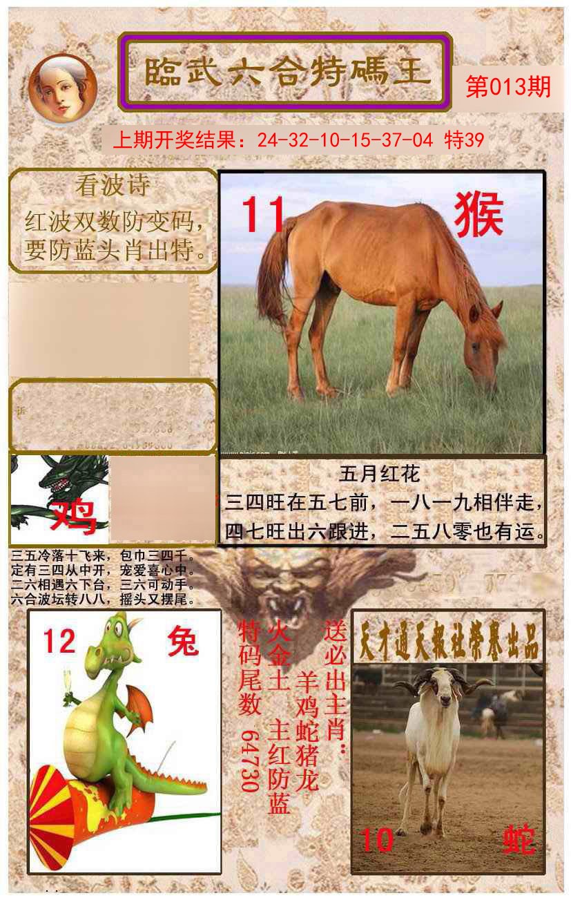 013期临武六合特码王[图]