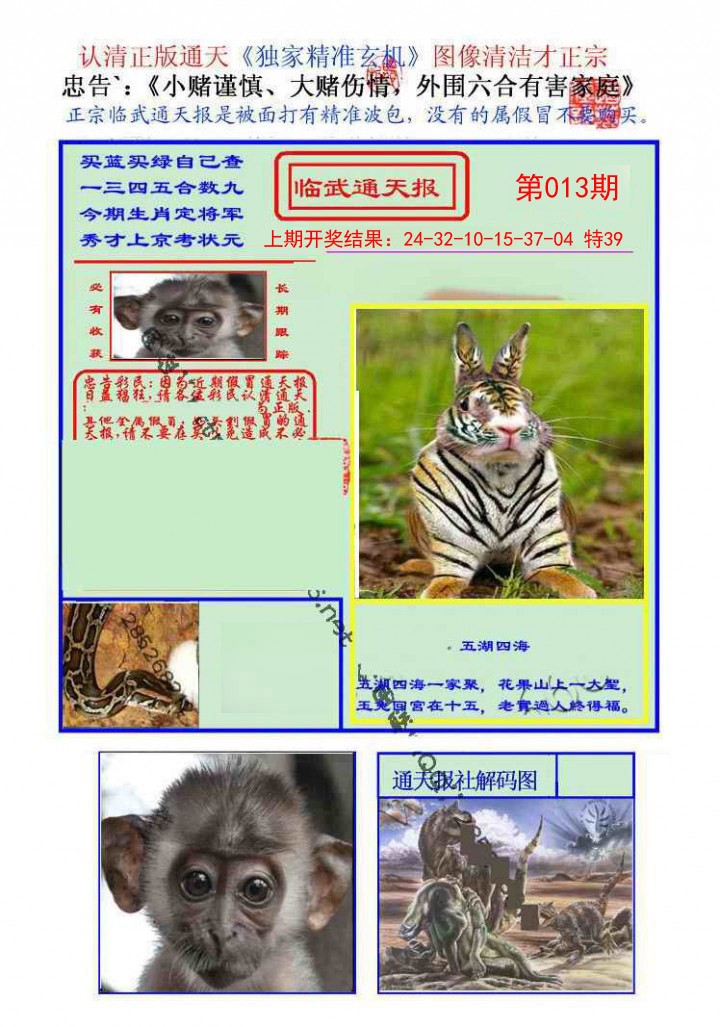 013期临武通天报[图]