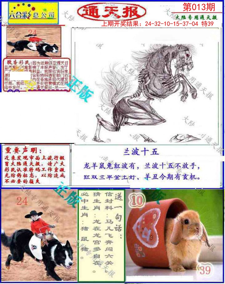 013期大陆通天报[图]