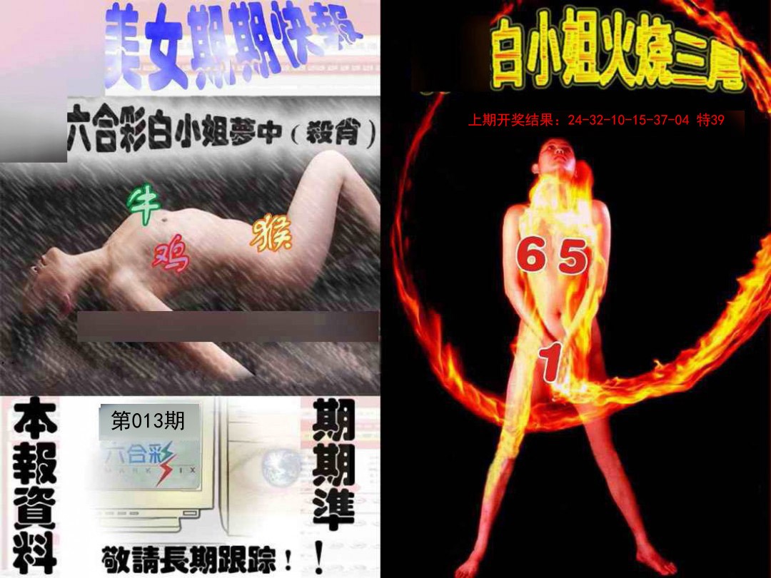 013期环球美女特码报[图]