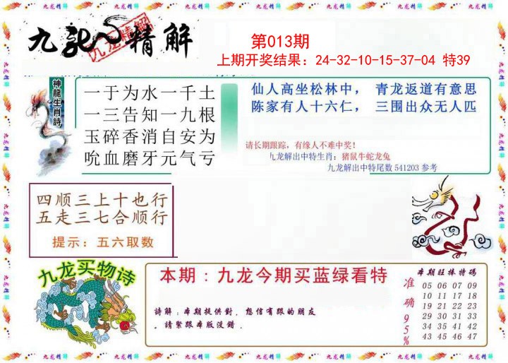 013期九龙精解[图]