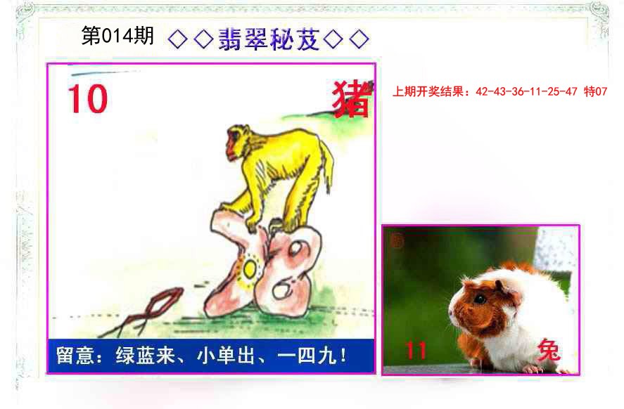 014期翡翠报[图]