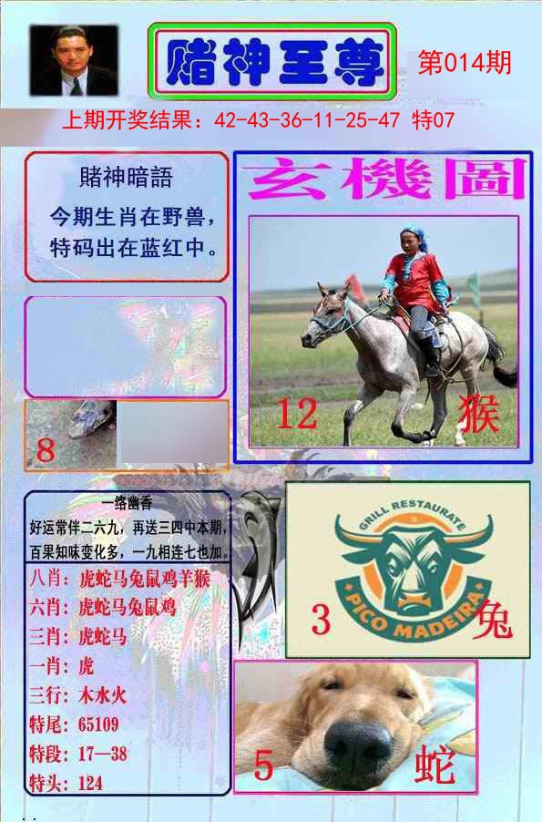 014期赌神至尊[图]