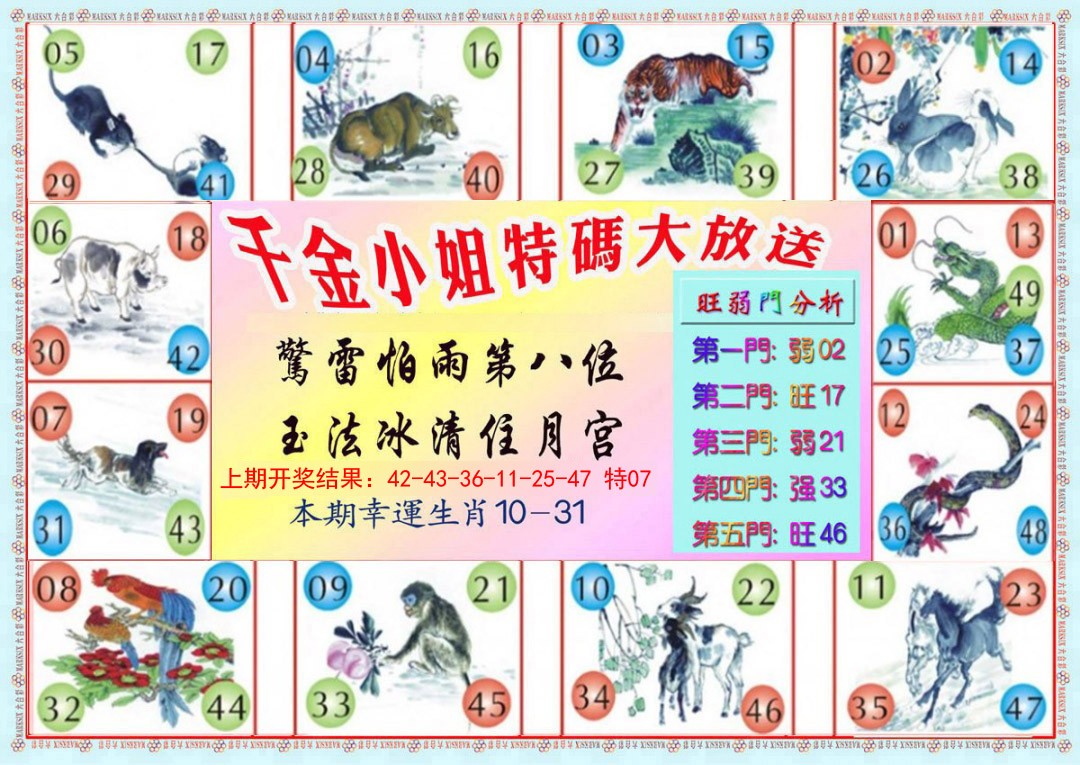 014期千金小姐B版[图]