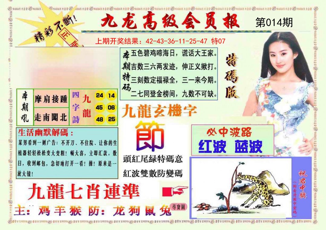 014期九龙高级会员报[图]