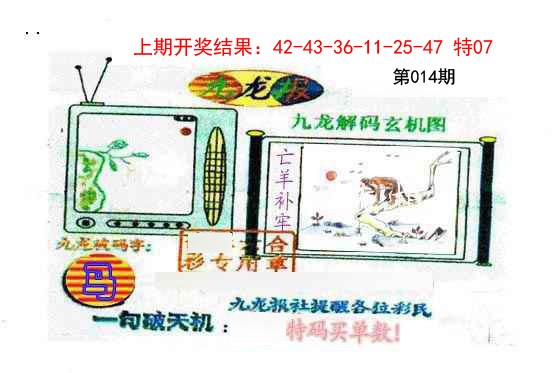 014期九龙报[图]