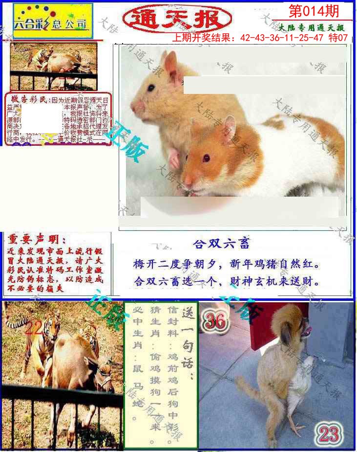014期大陆通天报[图]