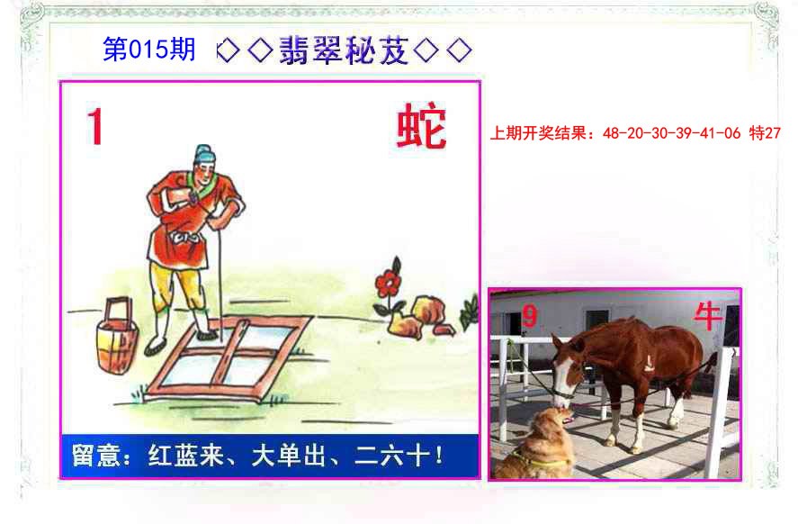 015期翡翠报[图]