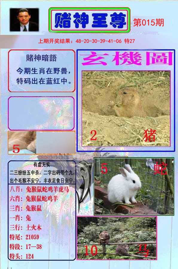 015期赌神至尊[图]