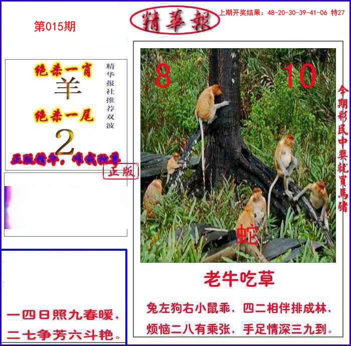015期新精华报报[图]