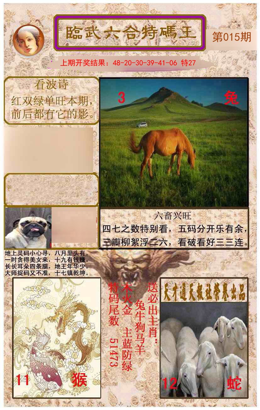 015期临武六合特码王[图]