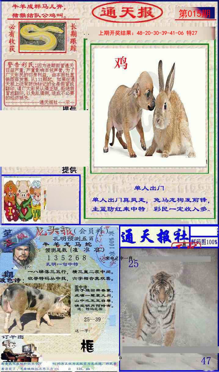 015期实力通天报[图]