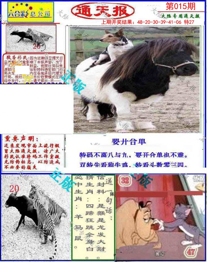 015期大陆通天报[图]