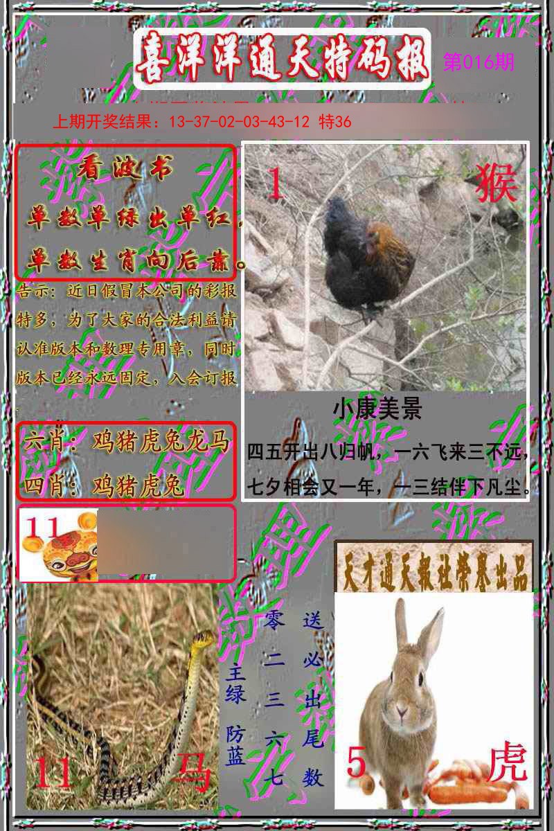 016期洋通报[图]