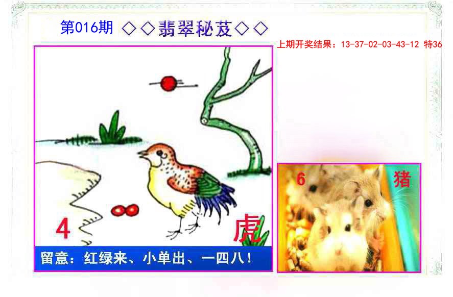 016期翡翠报[图]