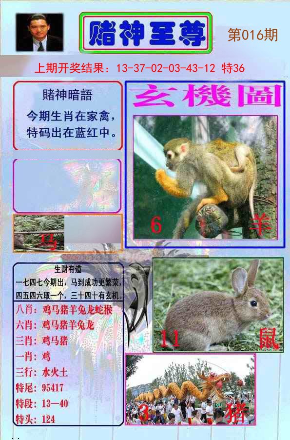 016期赌神至尊[图]