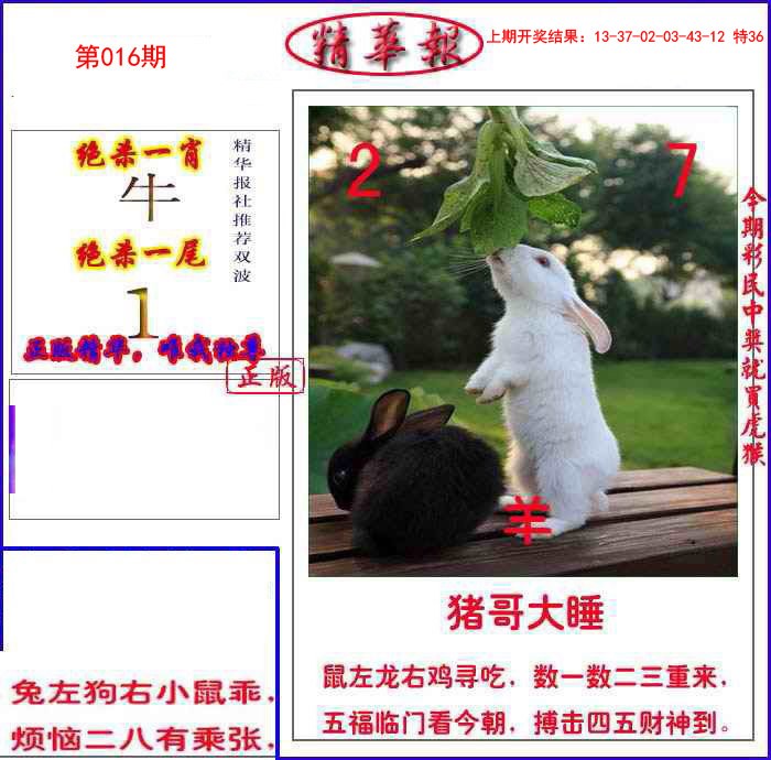 016期新精华报报[图]