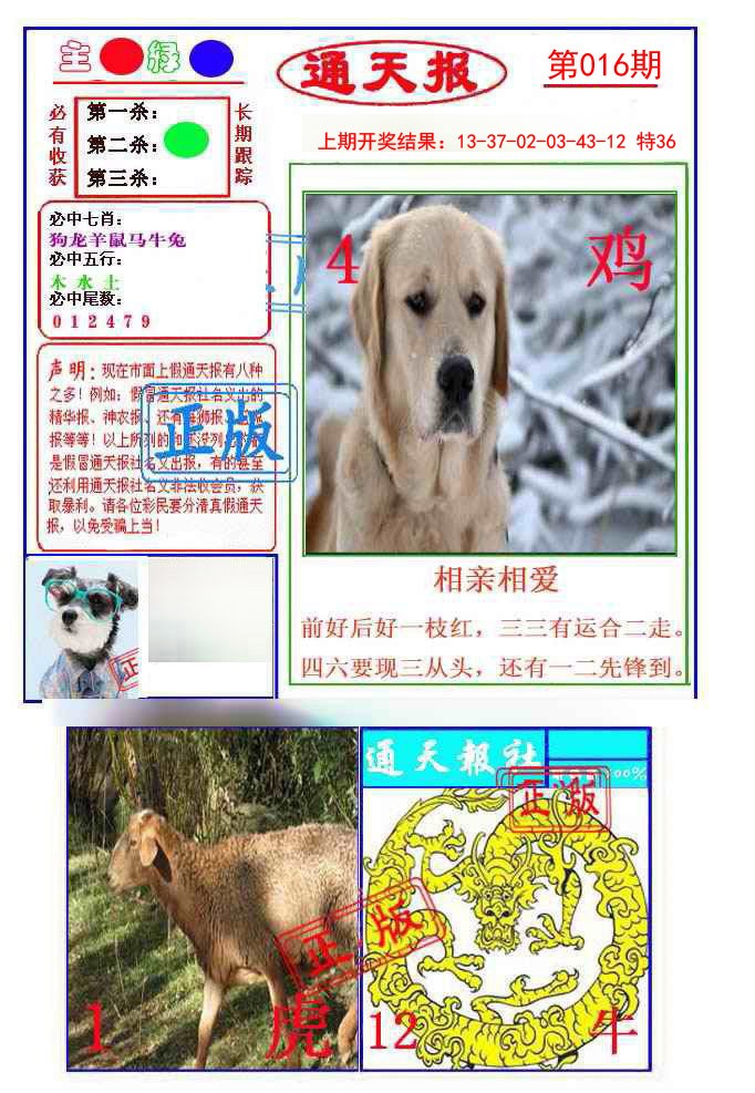 016期通天杀波图1[图]