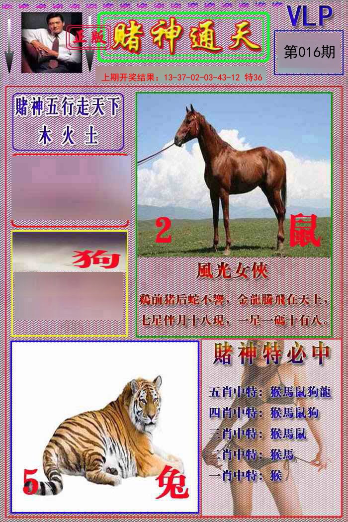 016期赌神通天报[图]