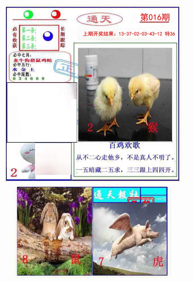 016期通天杀波图2[图]