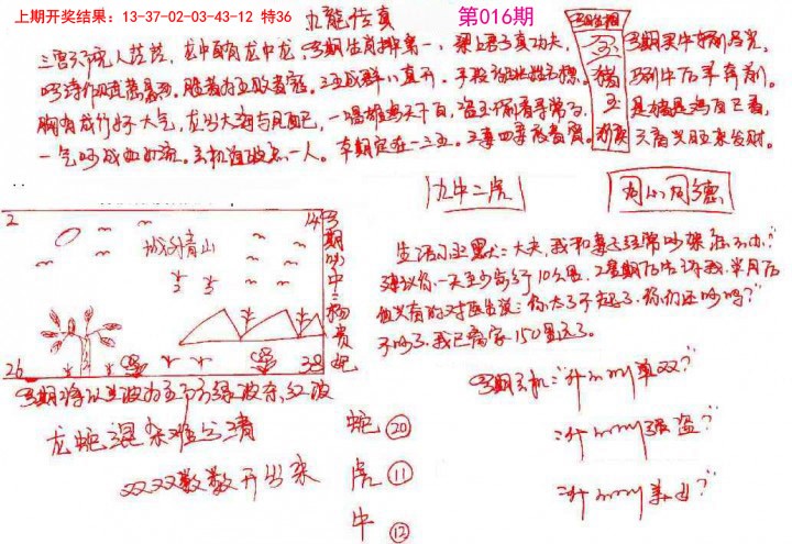 016期手写九龙内幕[图]