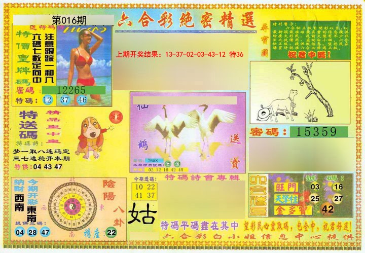 016期绝密精选A[图]