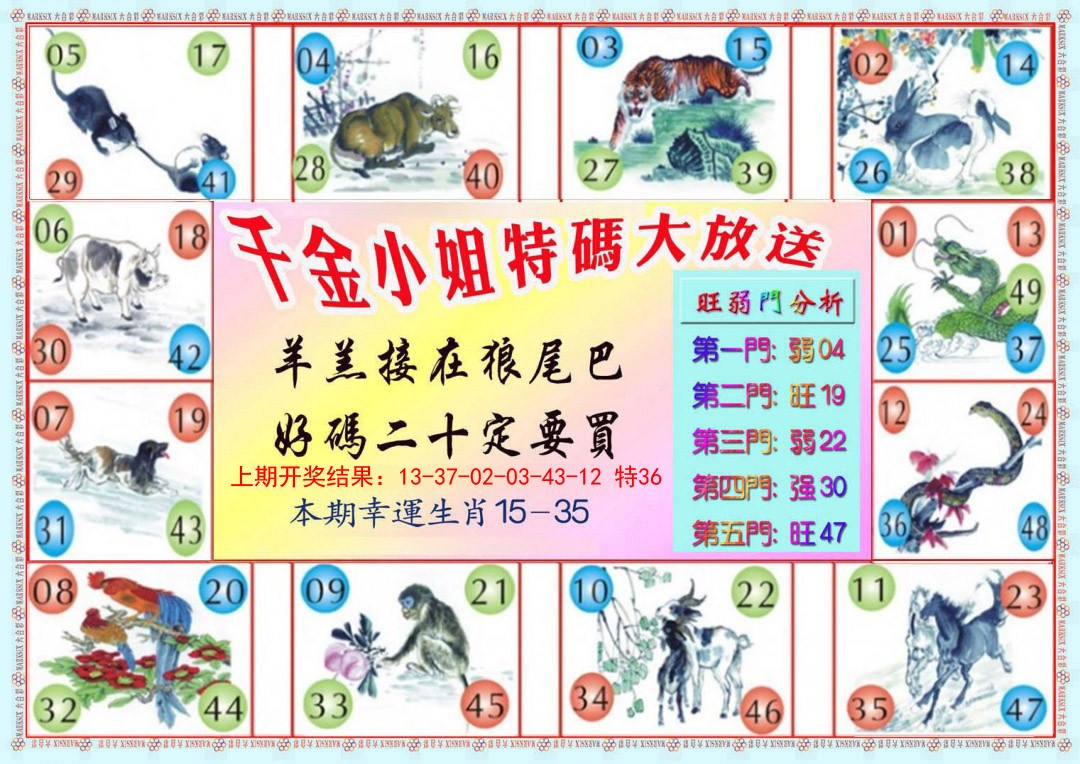 016期千金小姐B版[图]