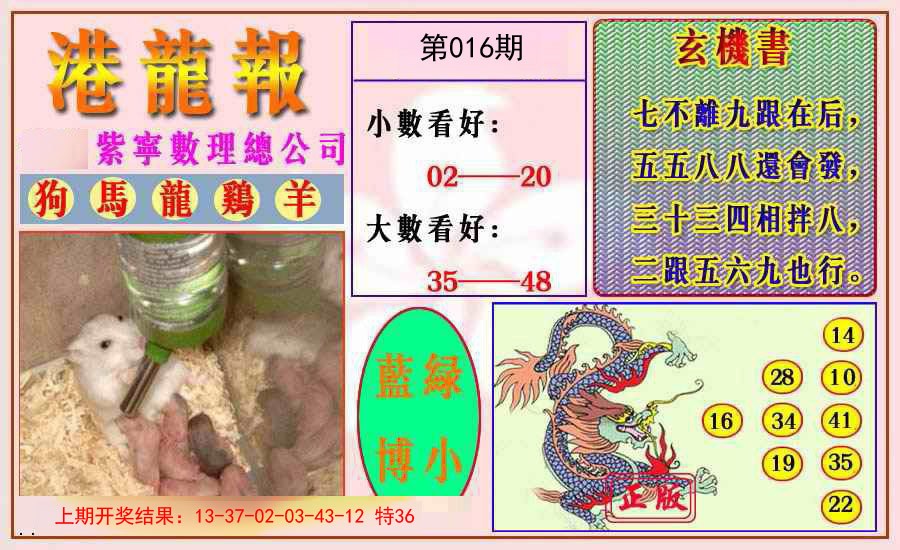 016期港龙报[图]