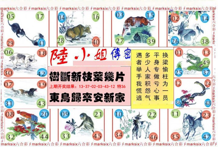 016期陆小姐传密B[图]