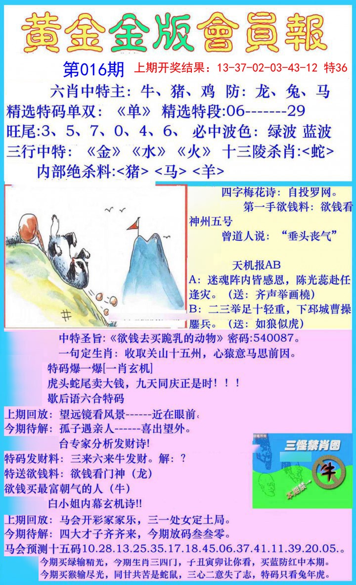 016期黄金金版会员报[图]