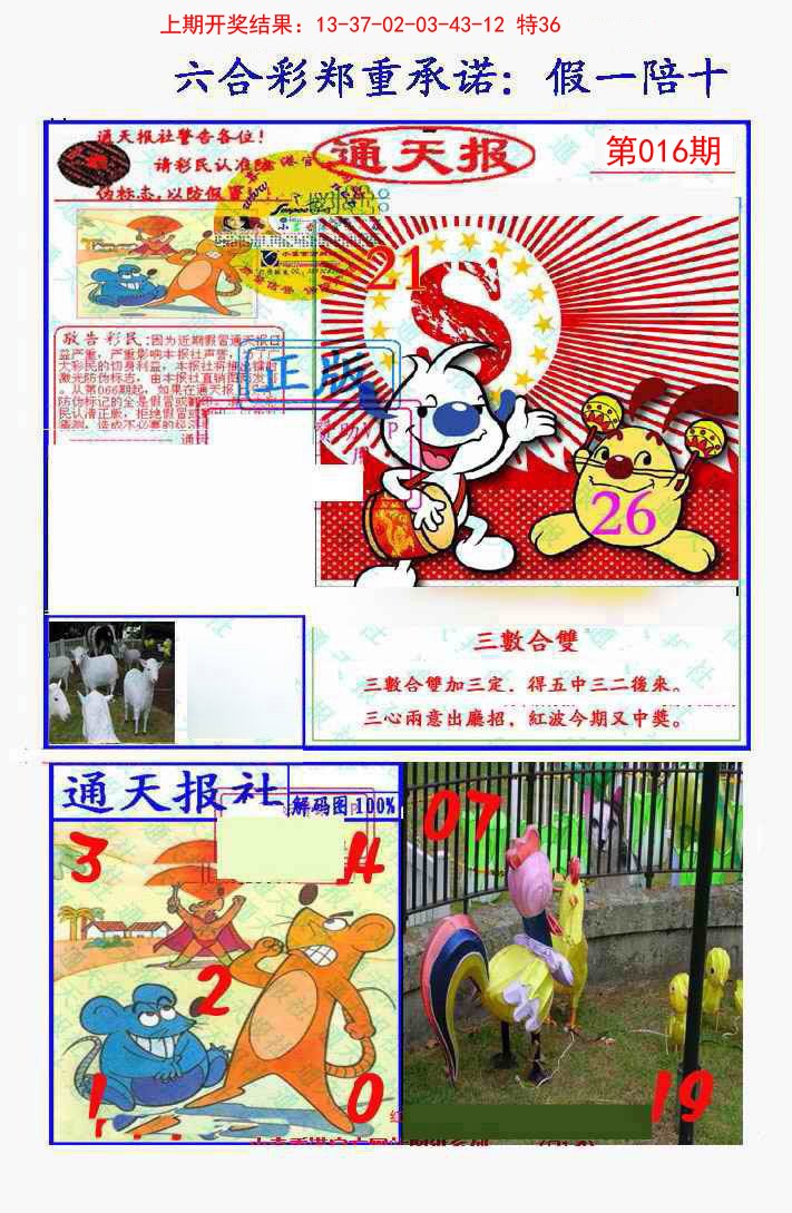 016期假一陪十通天报[图]