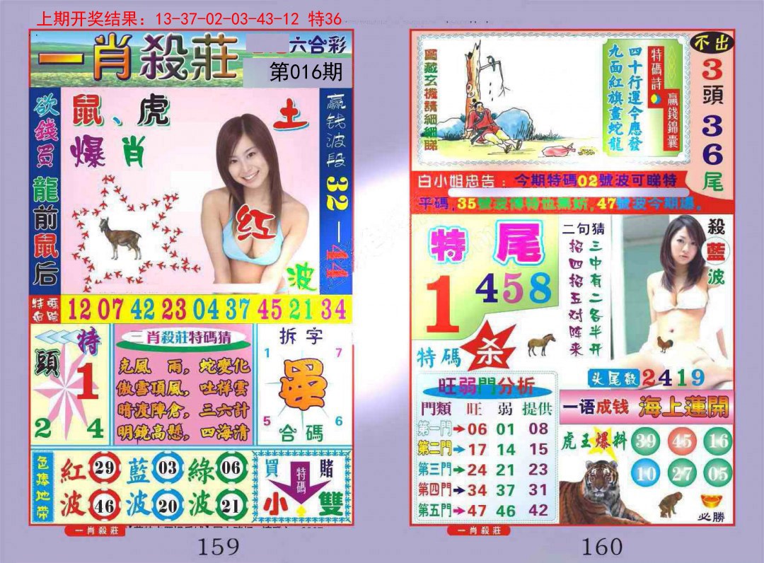 016期一夜富[图]