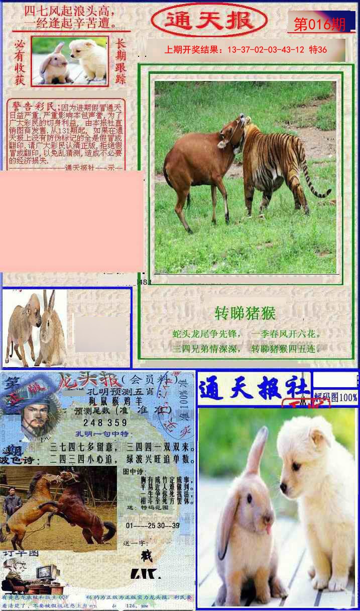016期实力通天报[图]