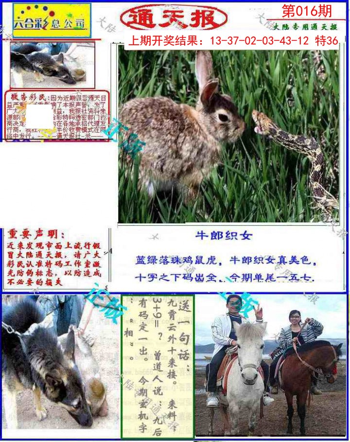 016期大陆通天报[图]
