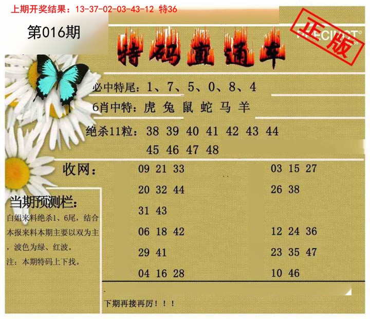 016期特码直通车[图]