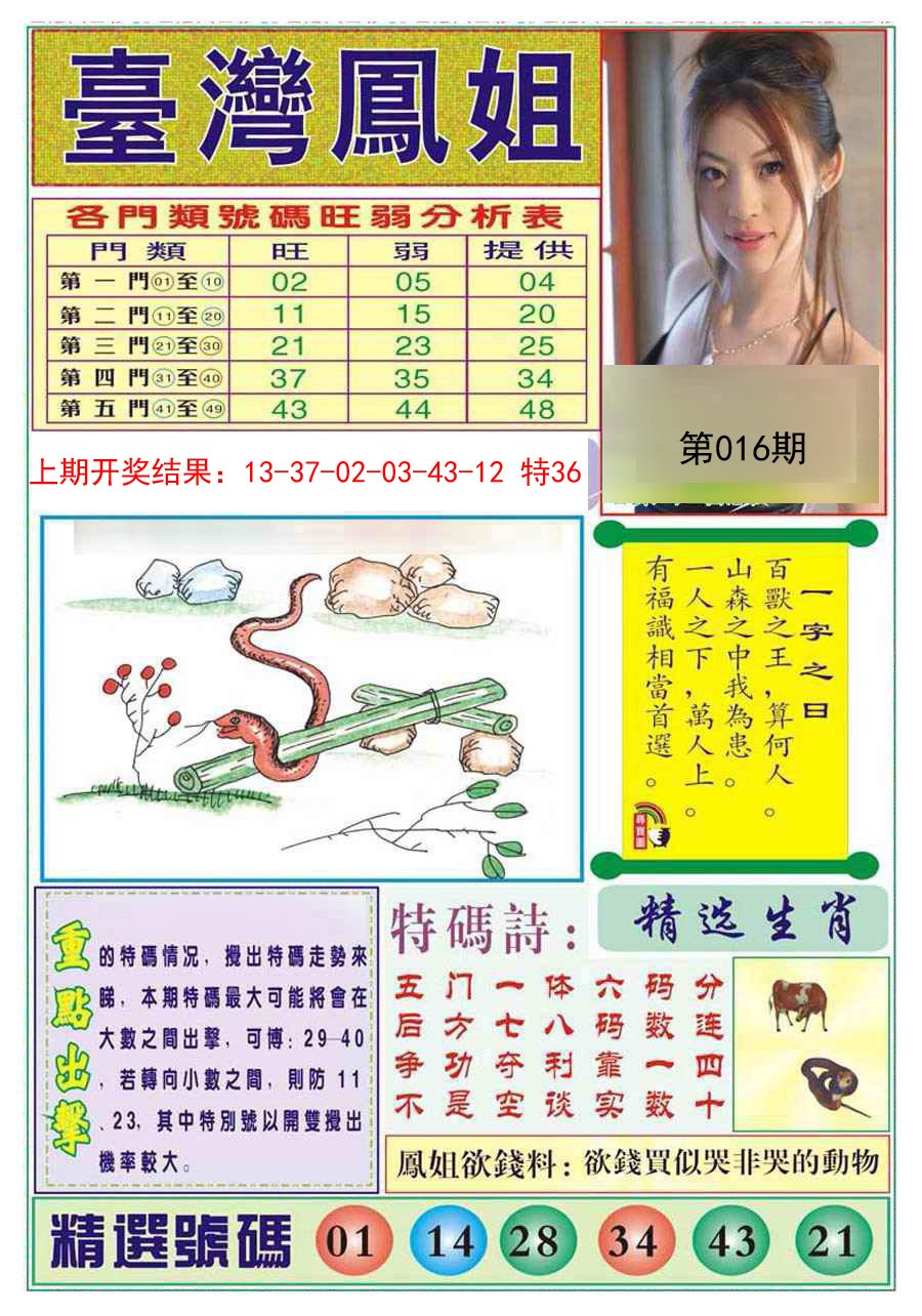 016期台湾凤姐[图]