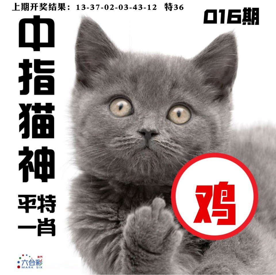016期中指猫神[图]