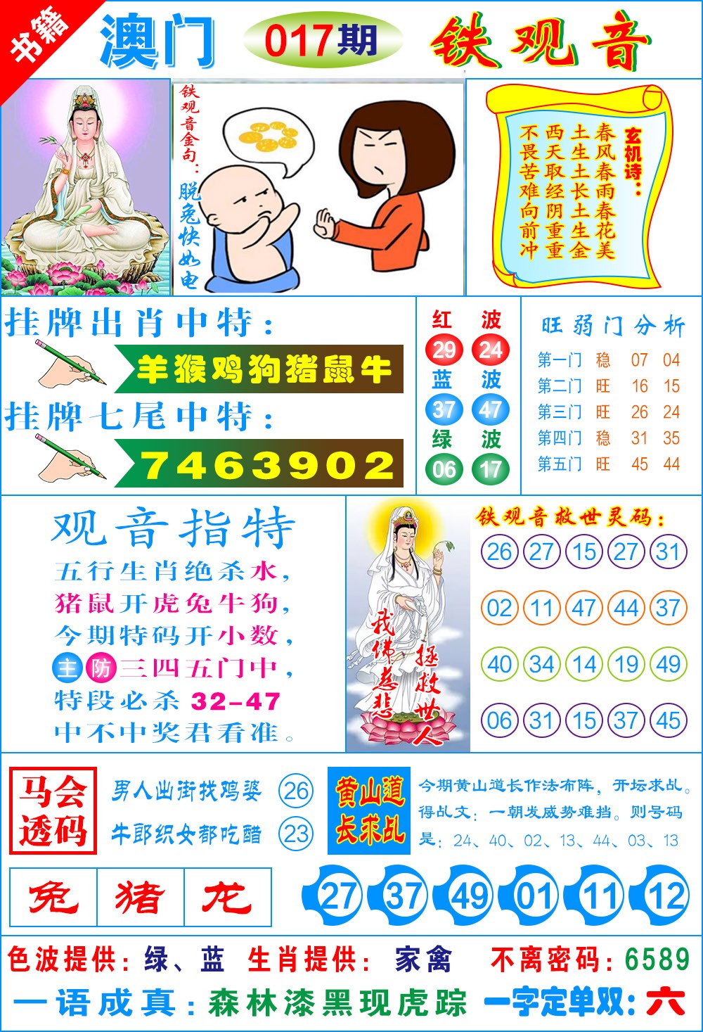 017期澳门铁观音[图]