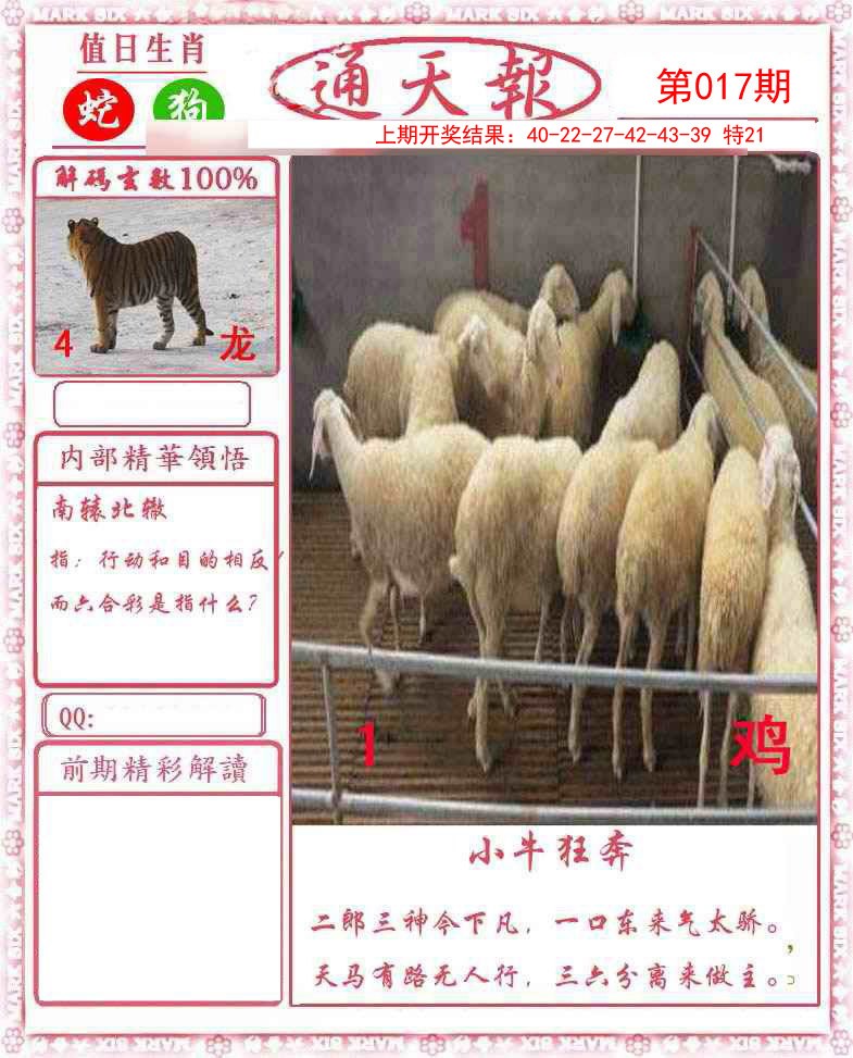 017期正版通天报[图]