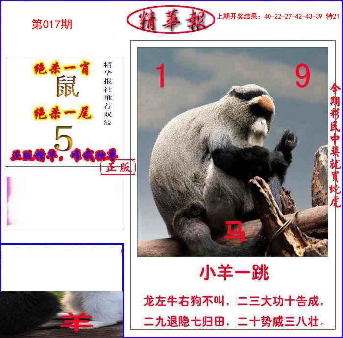 017期新精华报报[图]