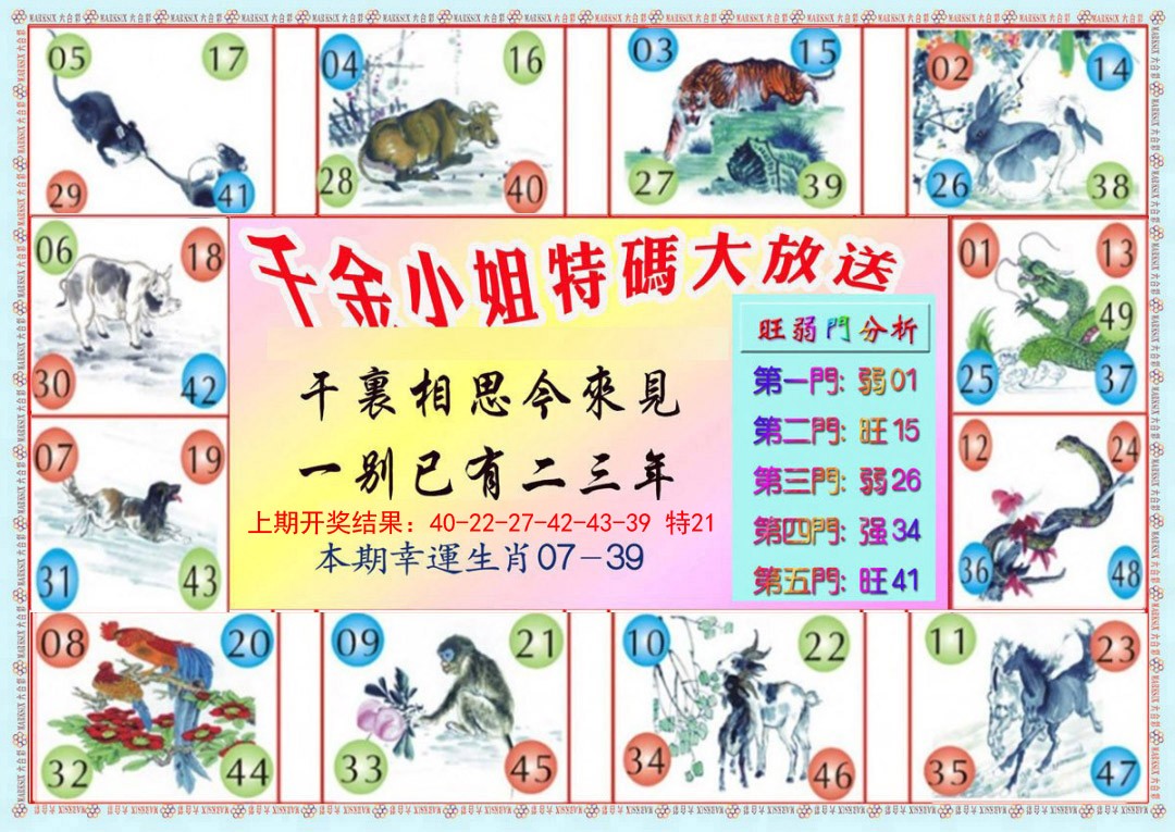 017期千金小姐B版[图]