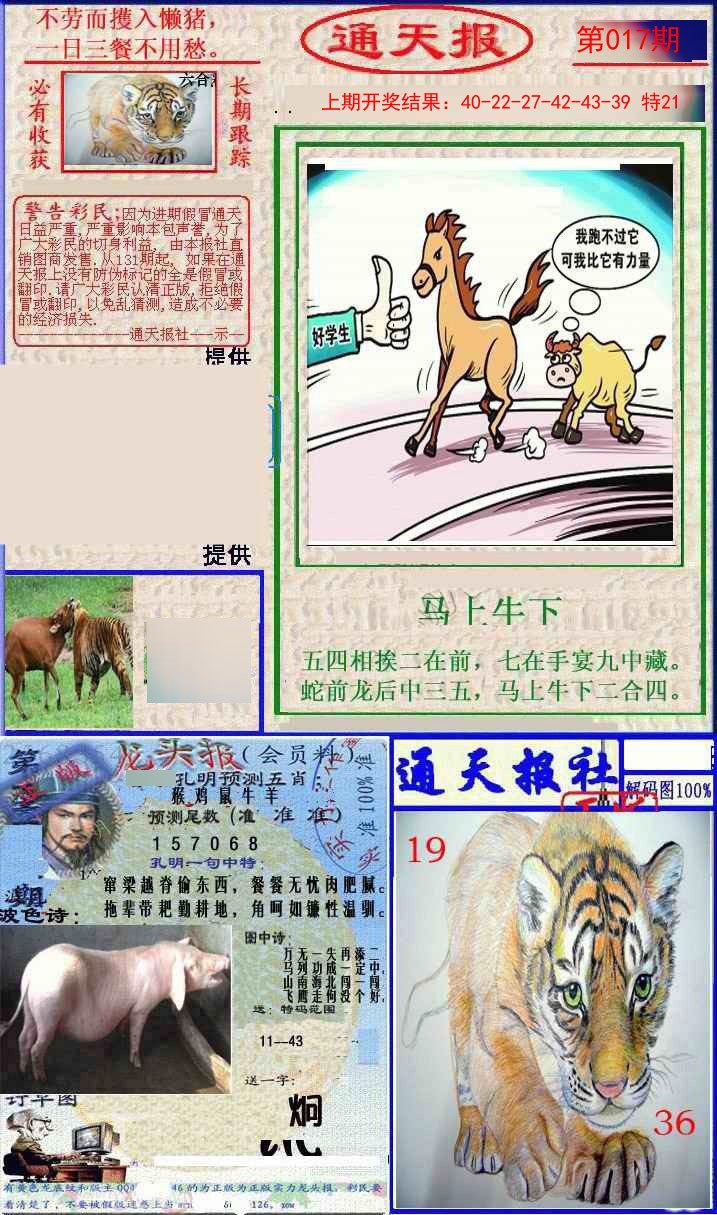 017期实力通天报[图]
