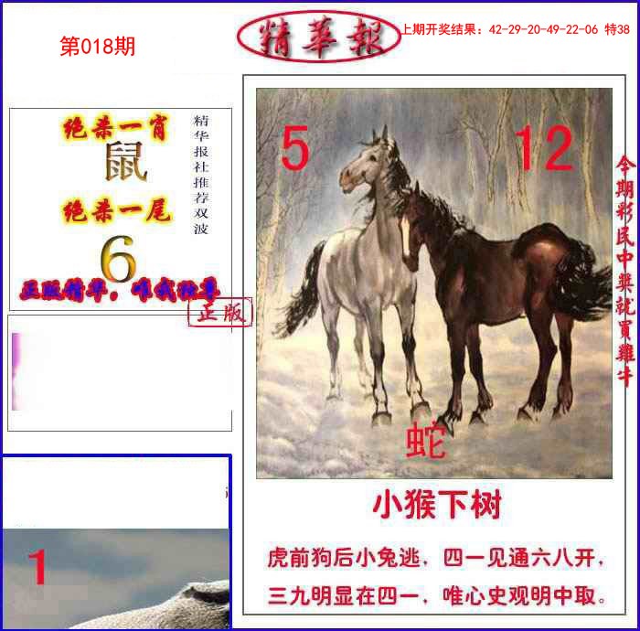018期新精华报报[图]
