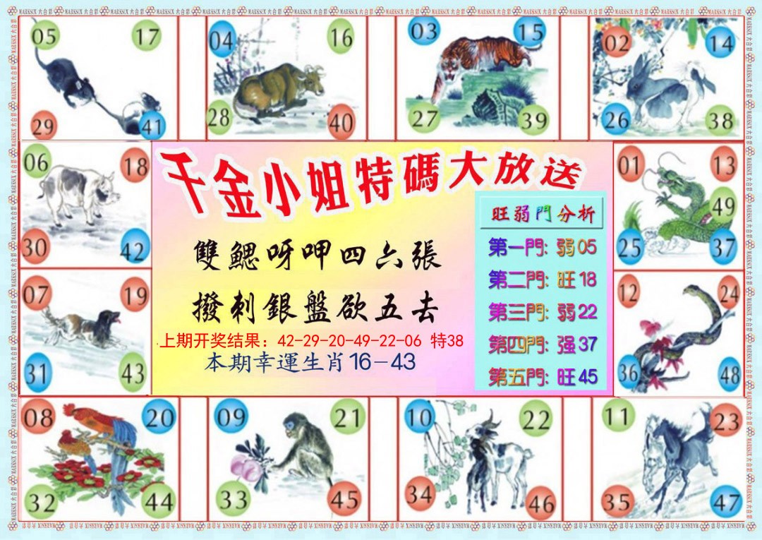 018期千金小姐B版[图]